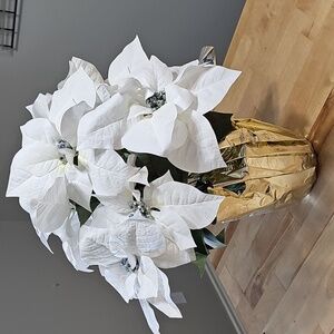🎄 Large White Silk Poinsettia Arrangement Gold Foil Pot